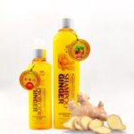 Ginger Shampoo for Anti Dandruff – 260ml - Image 4