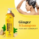 Ginger Shampoo for Anti Dandruff – 260ml - Image 2