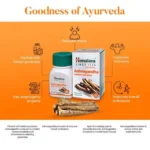 Himalaya Ashwagandha General Wellness Tablets Stress Relief Rejuvenates Mind & Body - 60 Tablets - Image 3