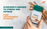 Himalaya Ashwagandha General Wellness Tablets Stress Relief Rejuvenates Mind & Body - 60 Tablets - Image 5